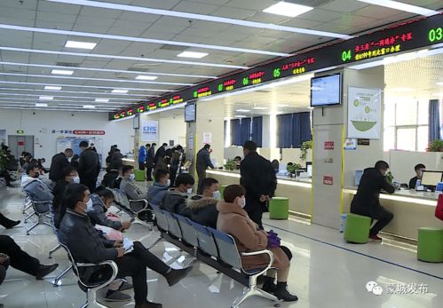 春節(jié)服務(wù)“不打烊” 蒙城政務(wù)服務(wù)延時(shí)錯(cuò)時(shí)安排及咨詢指南