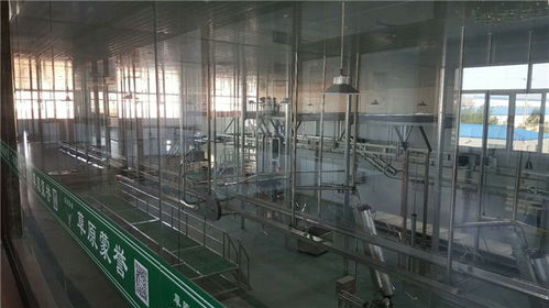 年屠宰10萬只不費勁！這家肉羊屠宰設備廠家直供方案，成本直降30%
